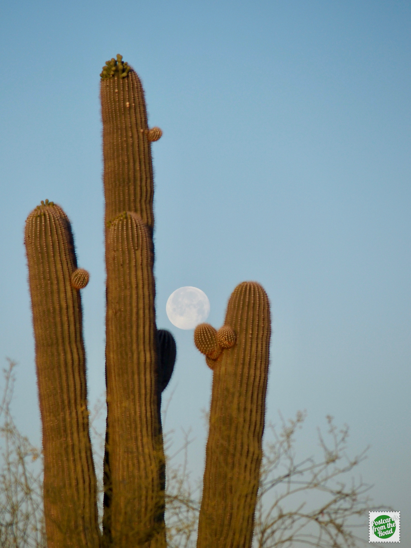 moon rising