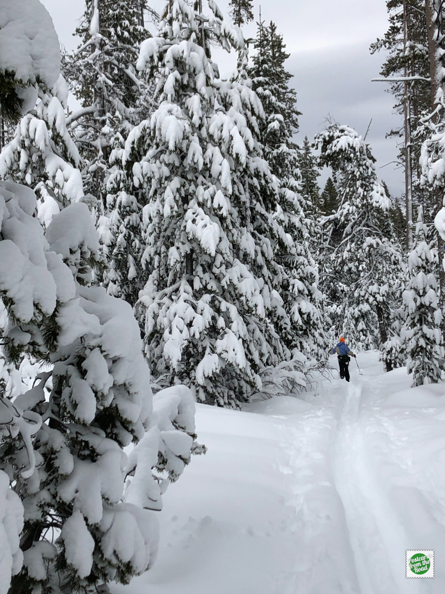 Noreen Shelter Trail