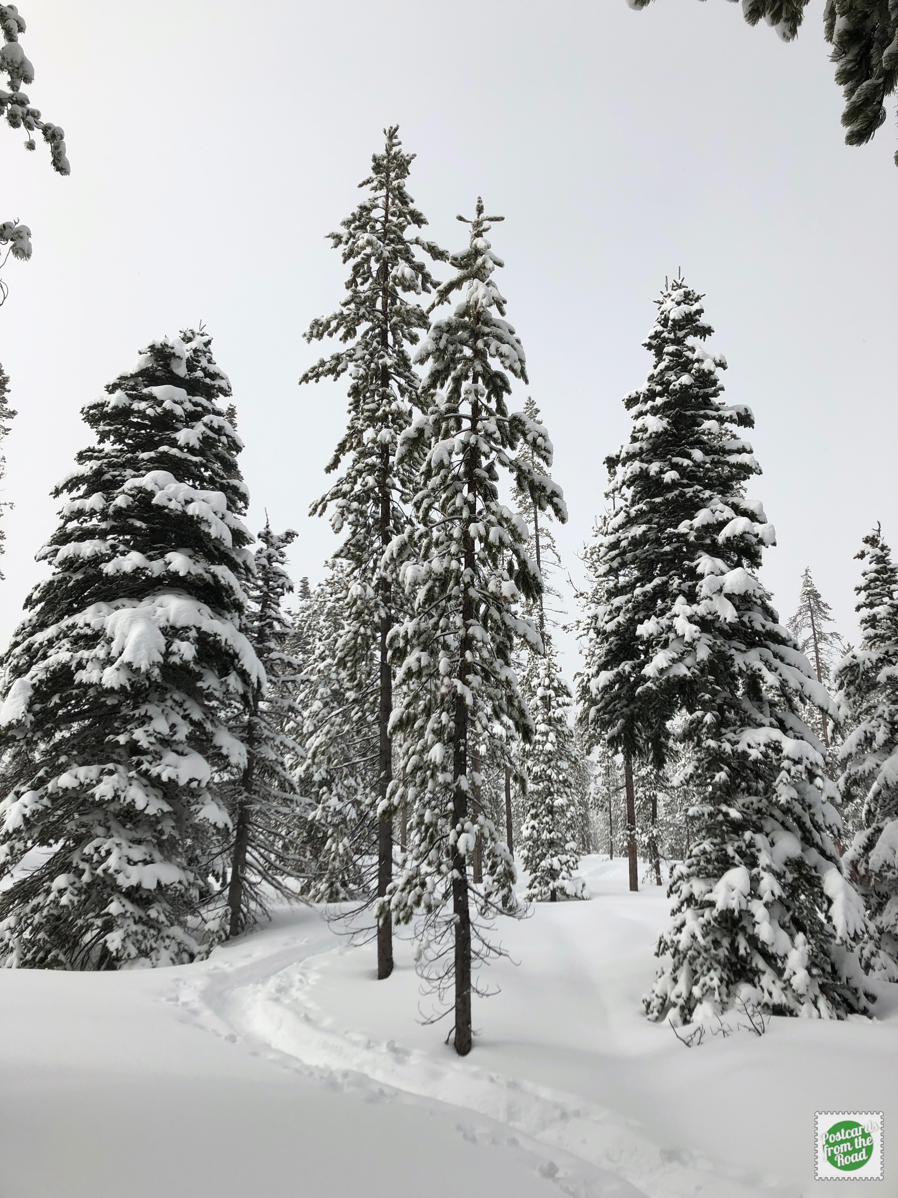 Swampy Lakes Sno-Park