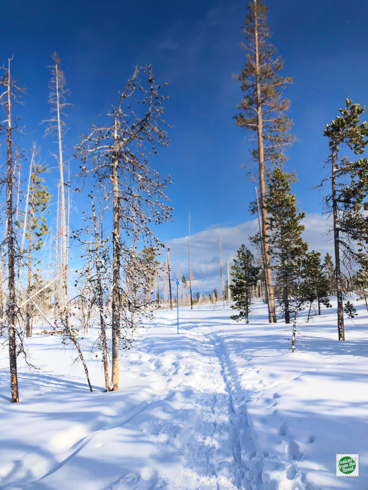 snowshoe trail