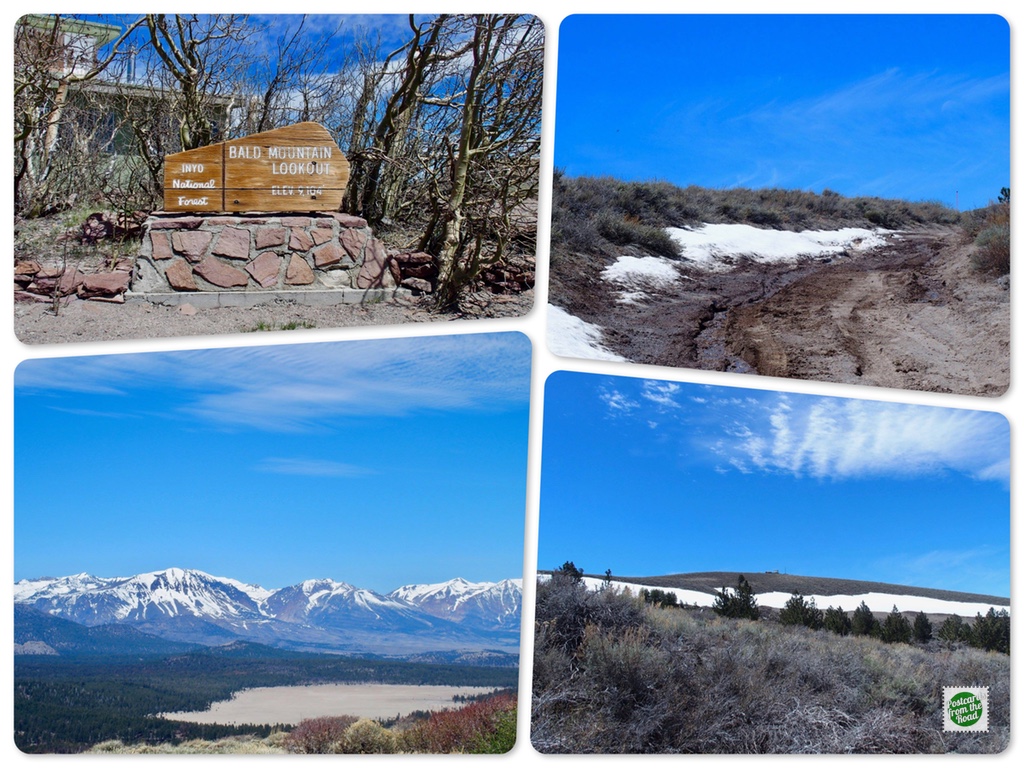 Bald Mountain Lookout