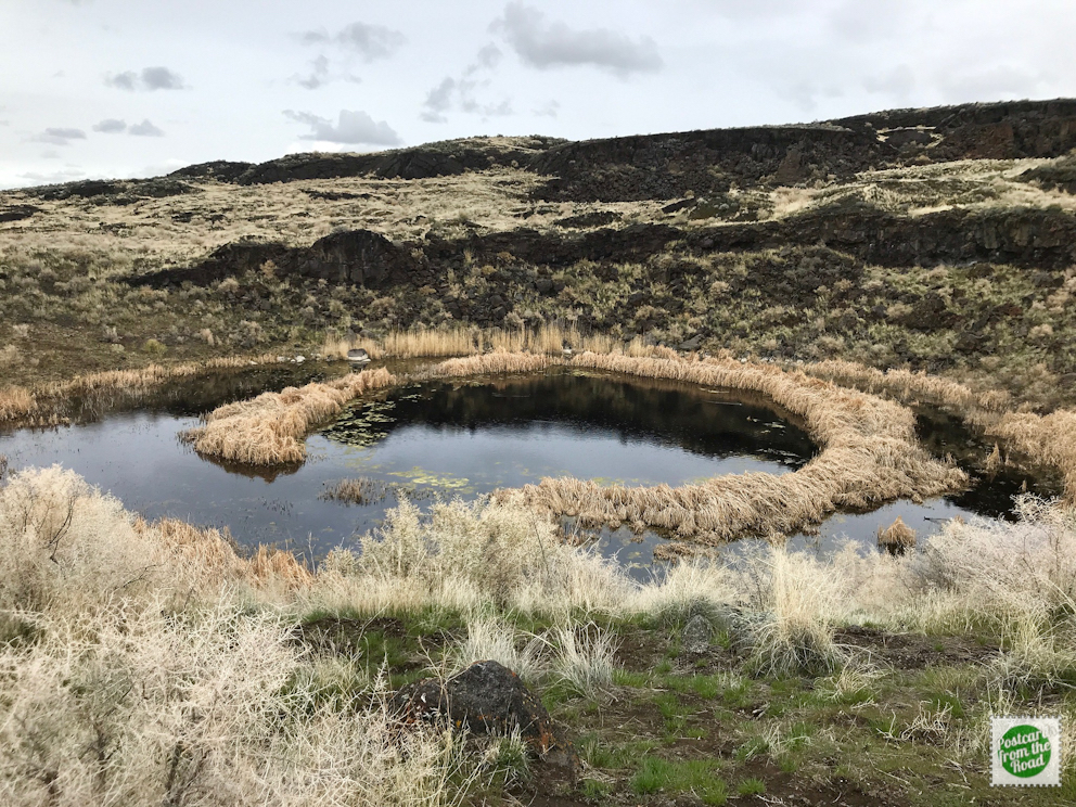 A pond inside West Dome&#039;s crater at Diamond Craters Outstanding Natural Area.