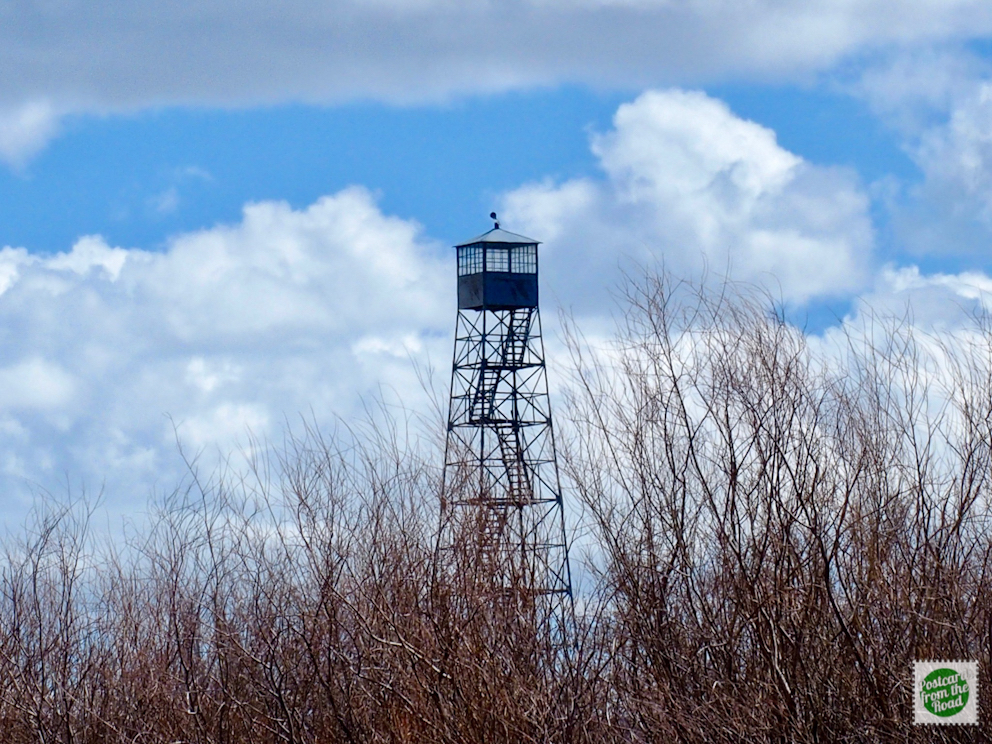 Fire tower at the P Ranch is now used only by roosting vultures.