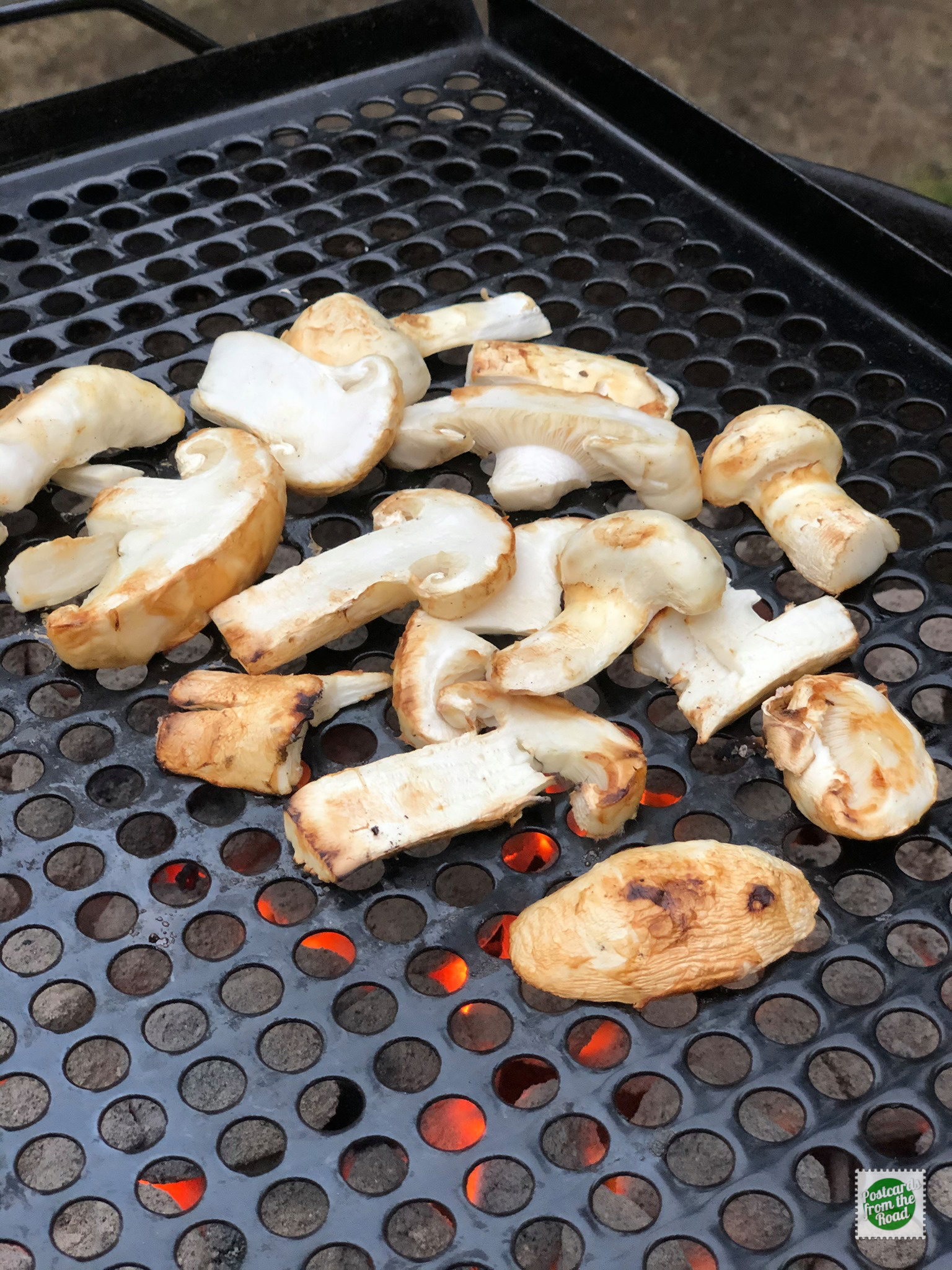 On our hike, we found a few choice matsutake mushrooms. This evening we sliced them up and grilled them on our Weber Little Smokey along with a couple of burgers. Yum! It’s now campfire time.