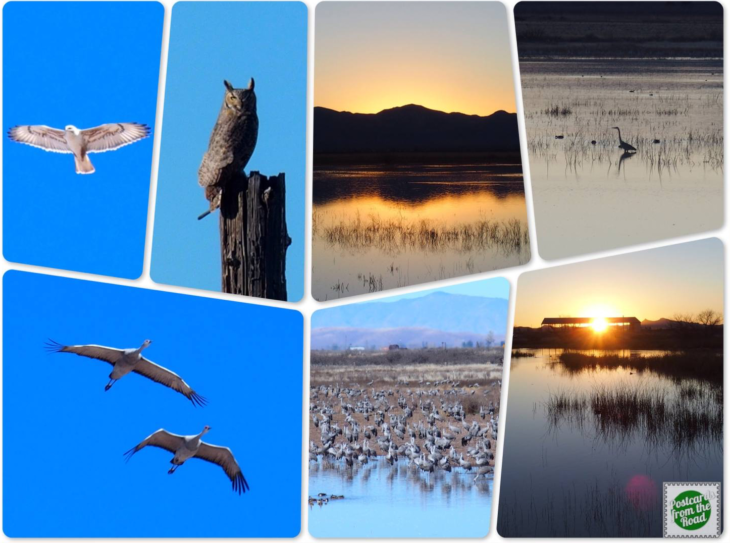 Whitewater Draw Wildlife Area Campground, Arizona Postcards from the Road